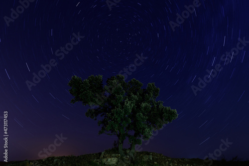 Paisaje nocturno con un árbol y una circumpolar