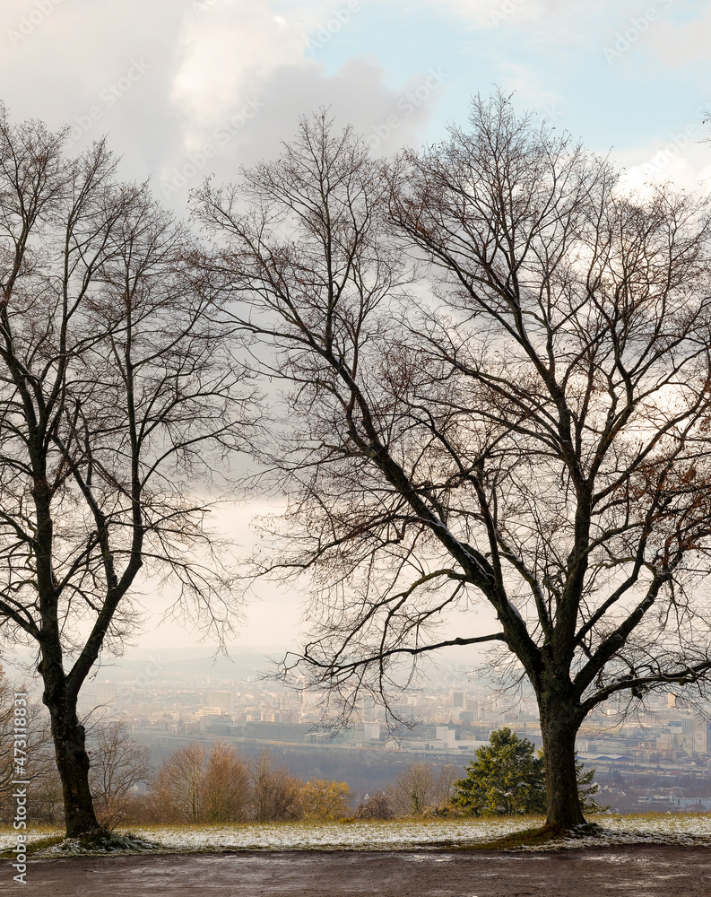 Ausblick von verschneiter Tüllinger Berg (Lindenplatz) oberhalb von Lörrach, Richtung Deiländereck, Weil-am-Rhein, Basel, Elsässer Ebene, Huningue und Sundgau in Elsass Ausblick von verschneiter Tüllinger Berg (Lindenplatz) oberhalb von Lörrach, Richtung Deiländereck, Weil-am-Rhein, Basel, Elsässer Ebene, Huningue und Sundgau in Elsass