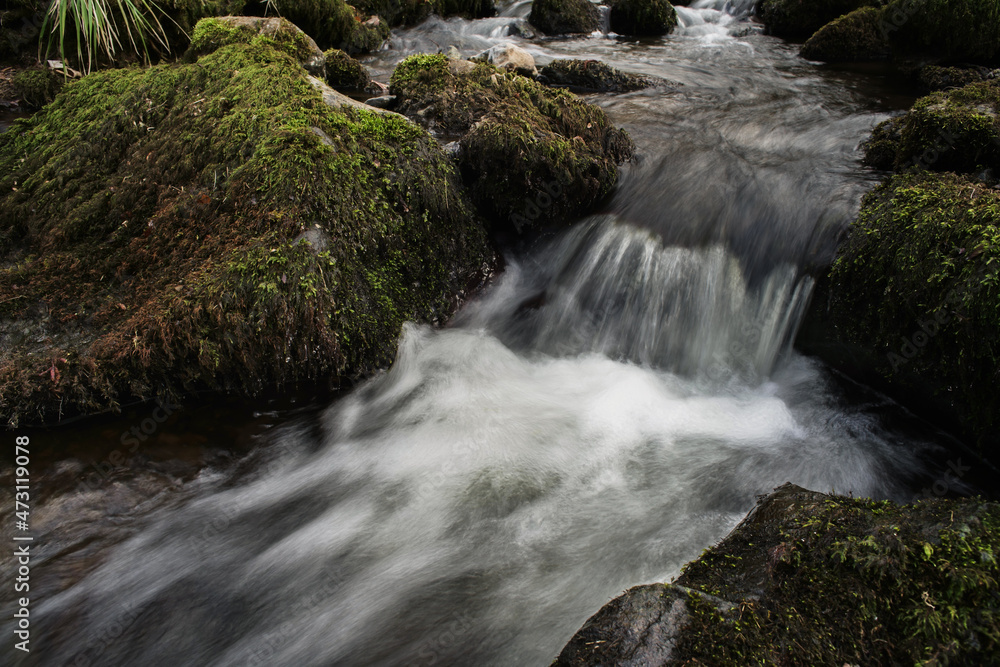 Wasser eines Flusses mit Dynamic, Wellen und Stromschnelle, die über Steine mit Moosen herab fließt Wasser eines Flusses mit Dynamic, Wellen und Stromschnelle, die über Steine mit Moosen herab fließt