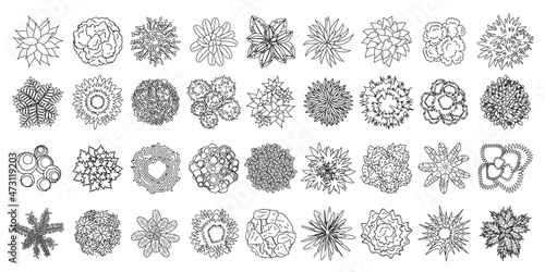 Vector set. Trees, bushes and plants. Top view. Collection for landscape design, plan, maps. (View from above)  photo