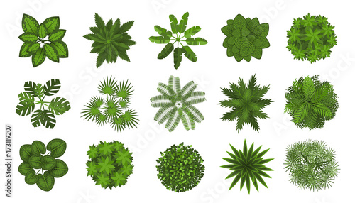 Trees top view. Different plants and trees vector set for architectural or landscape design. (View from above) Nature green spaces. photo