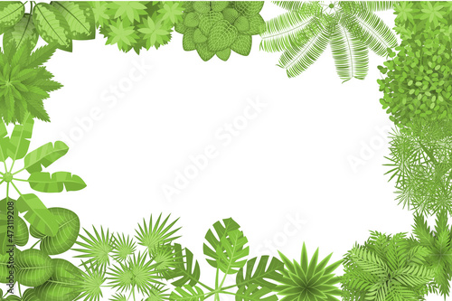Plant frame. Jungle top view. Space for text. Trees. View from above.