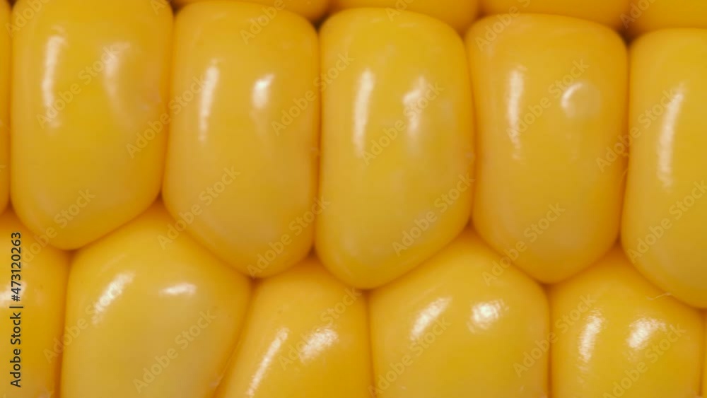 Corn Seeds Texture, Agriculture Healthy Natural Nutrition. Macro View Yellow Grains Corn Cob Background Food Organic Close Up. Closeup Fresh Sweet Corn on Cob, Ingredient Prepare for Organic Food.
