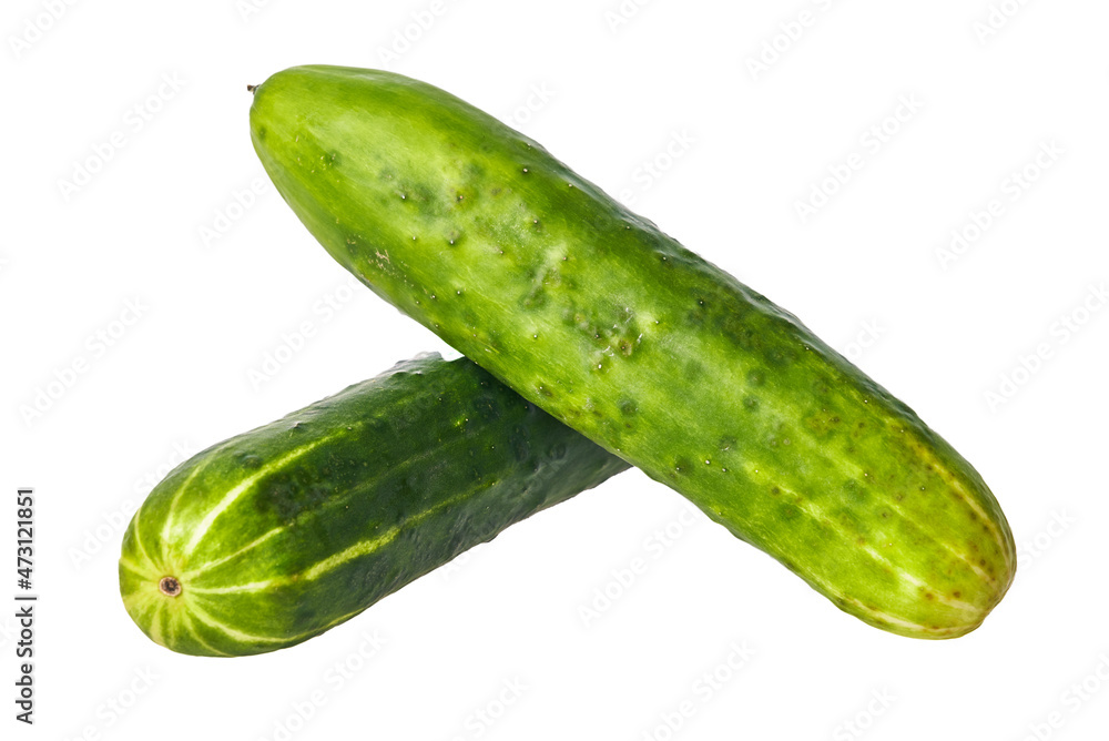 Bunch of cucumbers isolated on a white background Bunch of cucumbers isolated on a white background