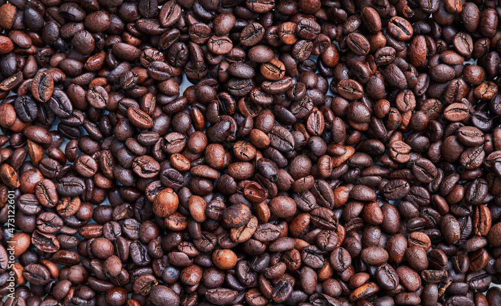 Fototapeta premium Brown and black coffee beans. Roasted arabic espresso coffee grains.