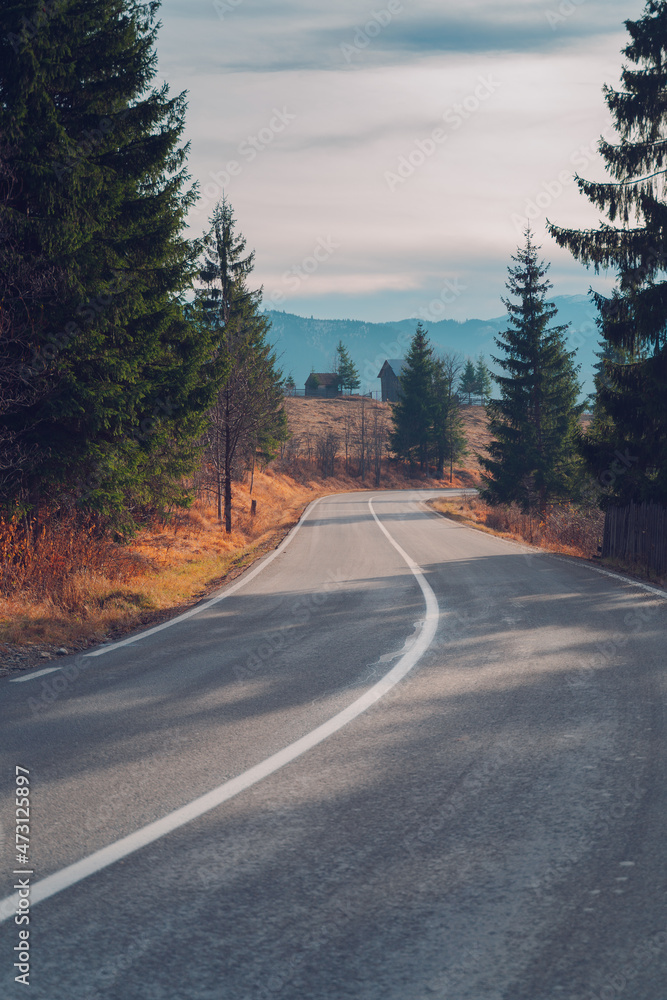 Obraz premium road in the mountains