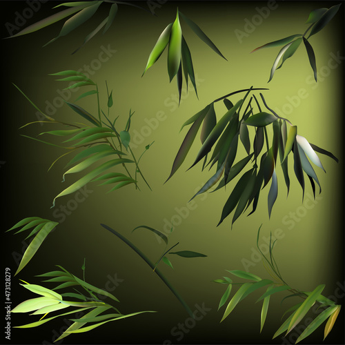 large set of bamboo leaves on dark green background