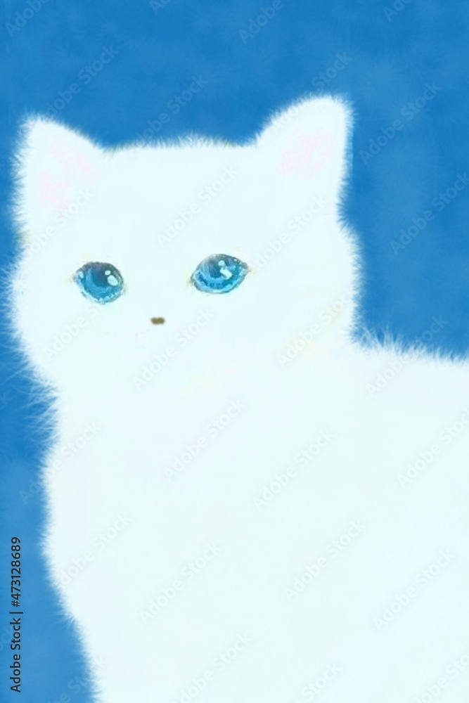 白い子猫 白い子猫