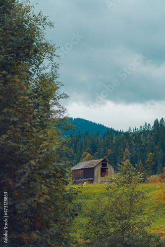 Old cabin in the mountains of romania