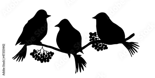 Hand drawn monochrome silhouettes of birds on the branch. Silhouettes of winter birds bullfinch. Decor elements.