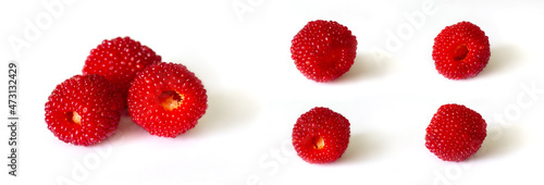Berries Tibetan raspberry, Rbus rosiflius with leaves