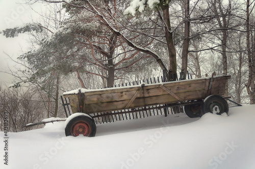 Wóz ciągnik w lesie zimą - w drodze na Matyskę