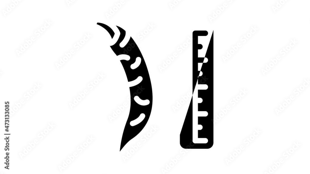 cayenne pepper spice scale animated glyph icon cayenne pepper spice scale sign. isolated on white background cayenne pepper spice scale animated glyph icon cayenne pepper spice scale sign. isolated on white background