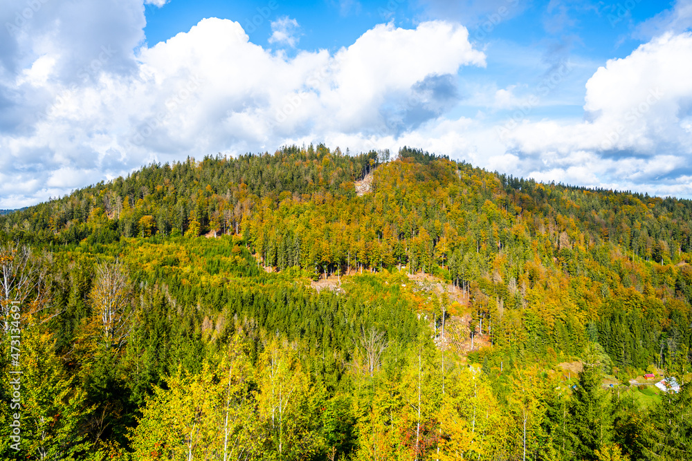Colorful autumn forests of Tanvaldsky Spicak