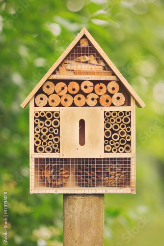 Closeup shot of small wooden man made house in the forest used like tiny animals, bugs, insects and bees shelter  © Karlo