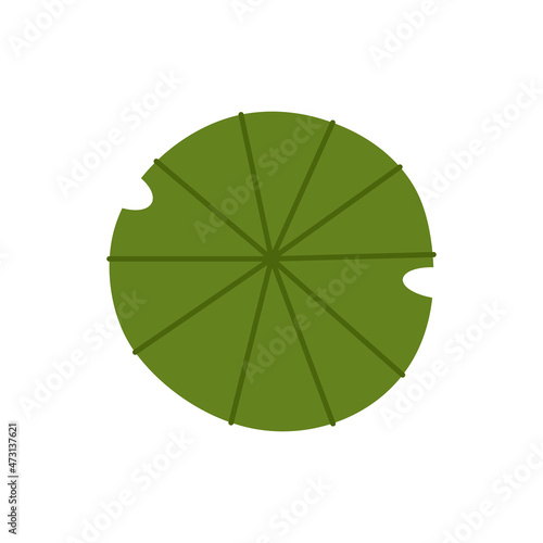 Lily pad vector. Lily pad logo design.