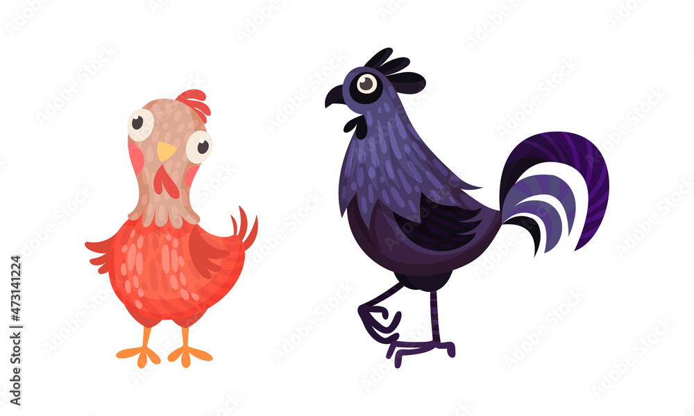 Funny hen and rooster, farm poultry breeding cartoon vector illustration Funny hen and rooster, farm poultry breeding cartoon vector illustration