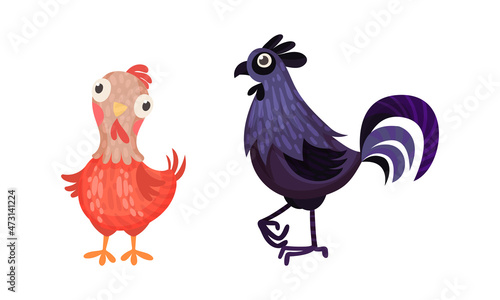 Funny hen and rooster, farm poultry breeding cartoon vector illustration