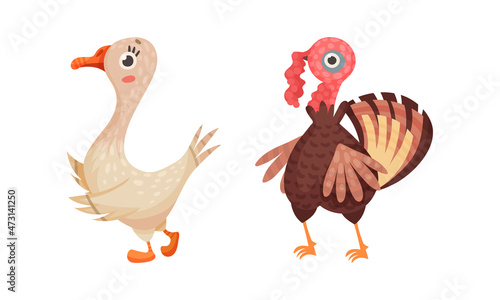 Farm poultry breeding. Goose and turkey set cartoon vector illustration