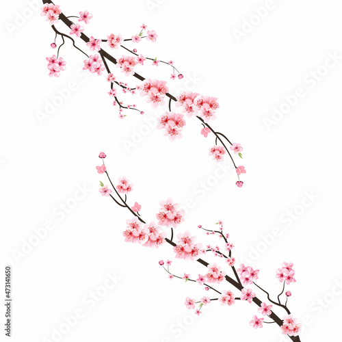 Fotobehang Cherry blossom with watercolor Sakura flower