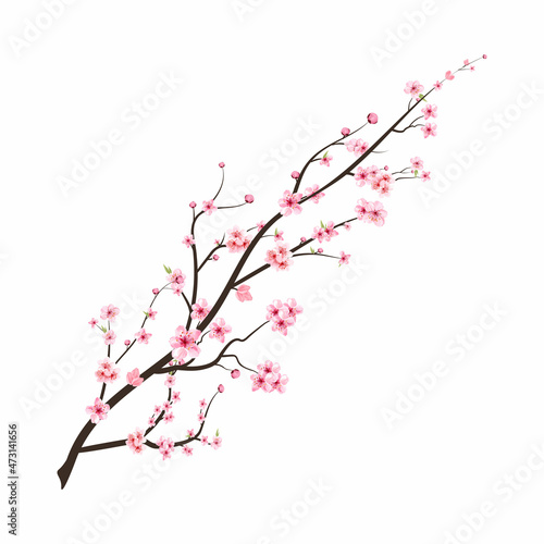 Fotobehang Realistic Cherry blossom branch