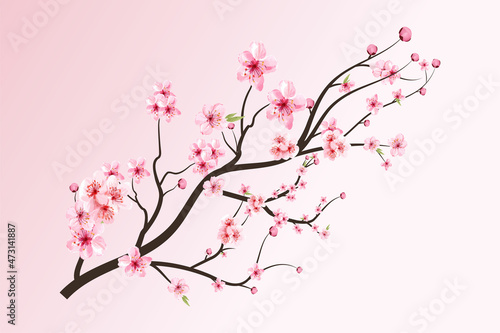 Cherry blossom with blooming watercolor Sakura. Realistic watercolor sakura flower branch. Japanese Cherry blossom vector. Cherry blossom branch with Sakura flower. Cherry flower branch.