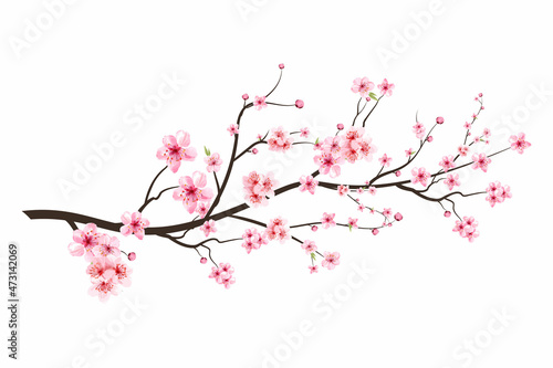Canvas-taulu Realistic Cherry blossom branch