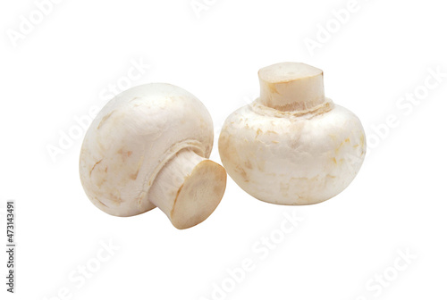 Champignons isolated on white background. Two Raw whole mushrooms for cooking. 