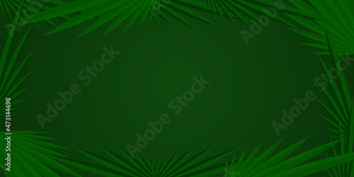 Green palm leaf nature background