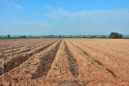Lines of soil made by tractors has blue sky and mountain background ,agriculture in Thailand