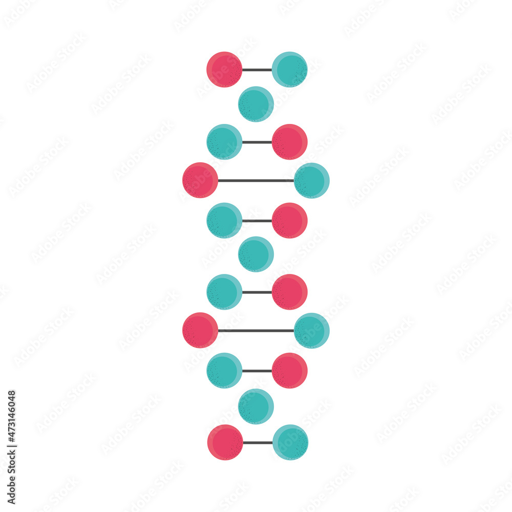 dna molecule structure dna molecule structure