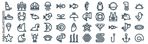 sea life thin line icon set such as pack of simple fish bone, anglerfish, sea lion, whale, clam, dolphin, octopus icons for report, presentation, diagram, web design