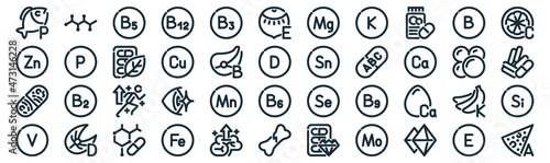 vitamin thin line icon set such as pack of simple vitamin, vitamin, power, salmon, enzyme, herbs, icons for report, presentation, diagram, web design