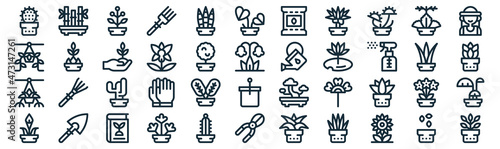 house plants thin line icon set such as pack of simple sansevieria trifasciata, orchid, cactus, shovel, plant, sprout, kalanchoe icons for report, presentation, diagram, web design