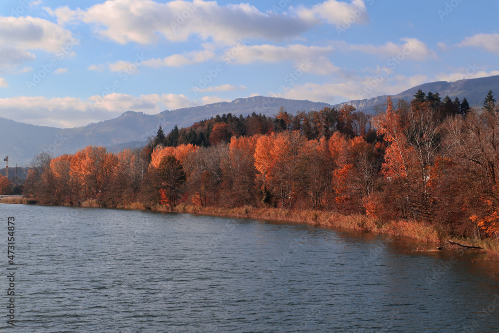 View to the Aare river and the forest in autumn