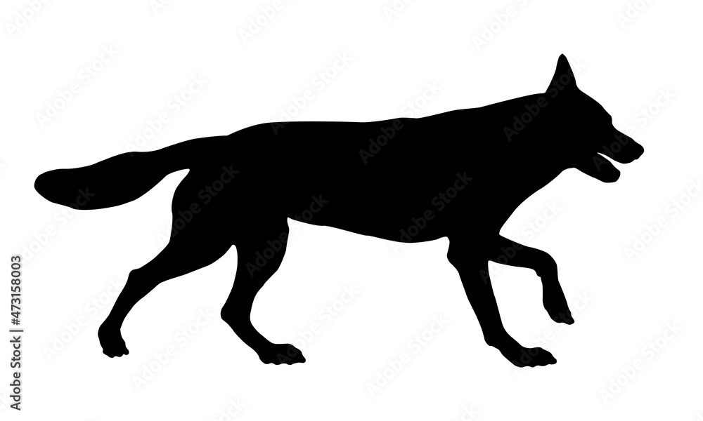 Black dog silhouette. Running czechoslovak wolfdog puppy. Pet animals. Isolated on a white background.
