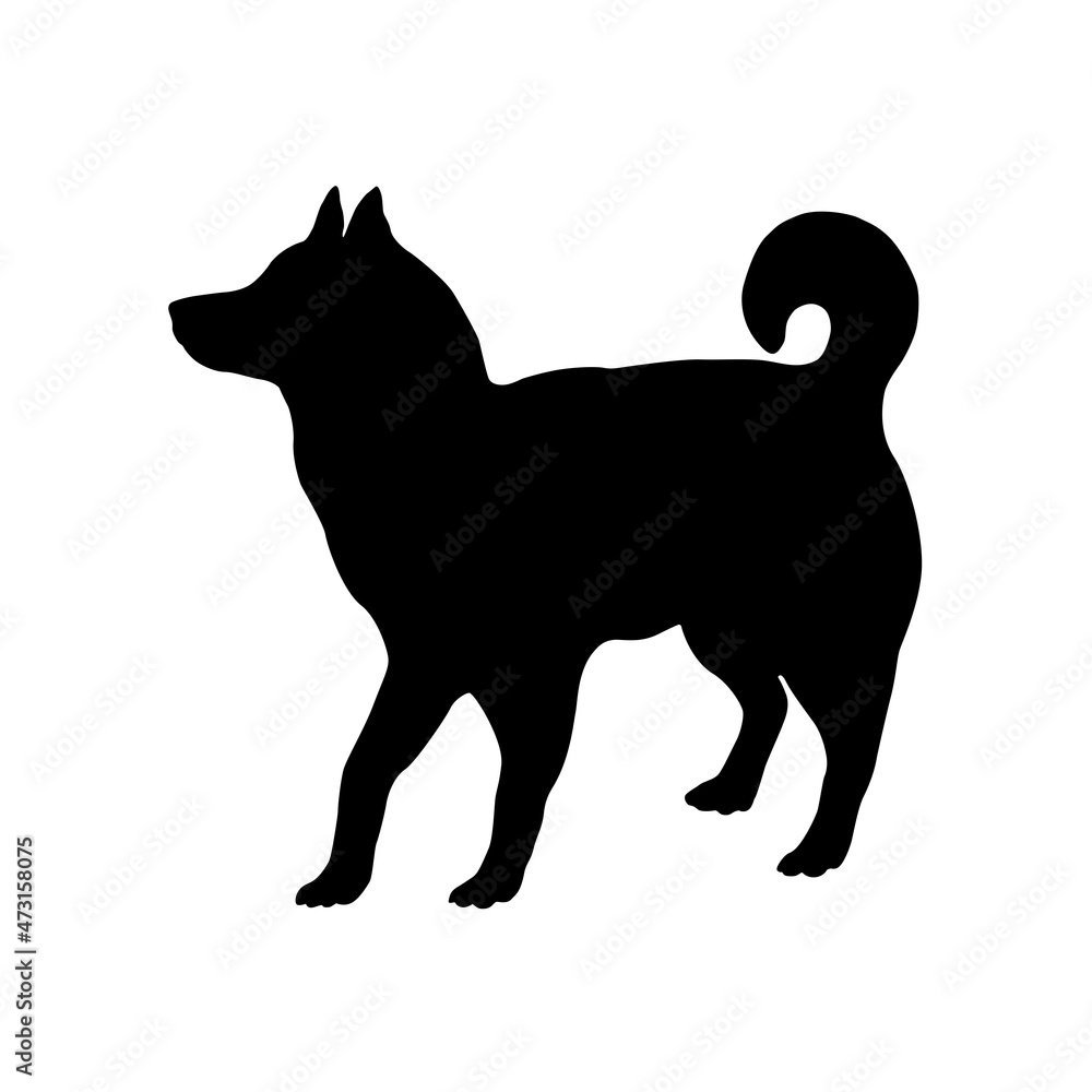 Standing siberian husky puppy. Black dog silhouette. Pet animals. Isolated on a white background. Standing siberian husky puppy. Black dog silhouette. Pet animals. Isolated on a white background.