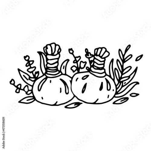 Herbal massage balls in outline style. Vector herbal compress balls for body massage. SPA Massage logo Illustration in hand drawn black and white doodle style isolated on white.