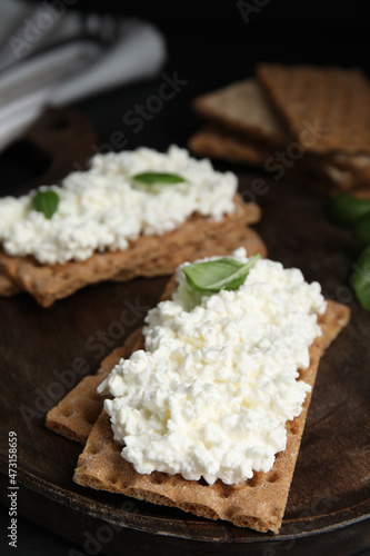 Crispy crackers with cottage cheese and basil on board, closeup