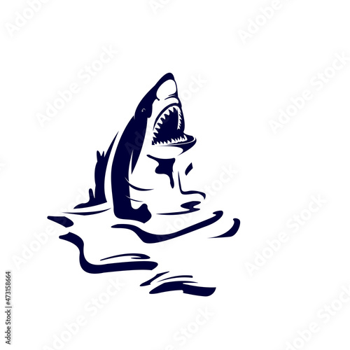 shark silhouette and water