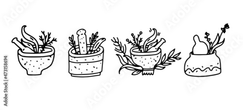 Mortar and pestle set with medicinal herbs vector illustration in outline doodle style