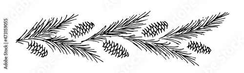 Simple hand-drawn vector drawing in black outline. Pine branches and cones, festive garland, banner. New Year's, Christmas design. Conifers, decorations. Ink sketch.