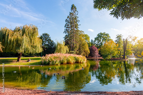 Canvas Print Autumn landscape of Stadtpark in Vienna, Austria