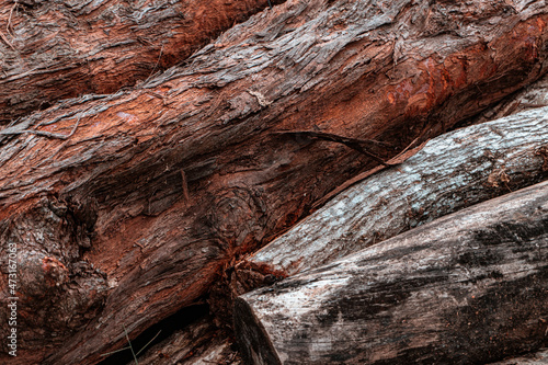 Piękne drewniane brązowe tło, tekstura drzewa.