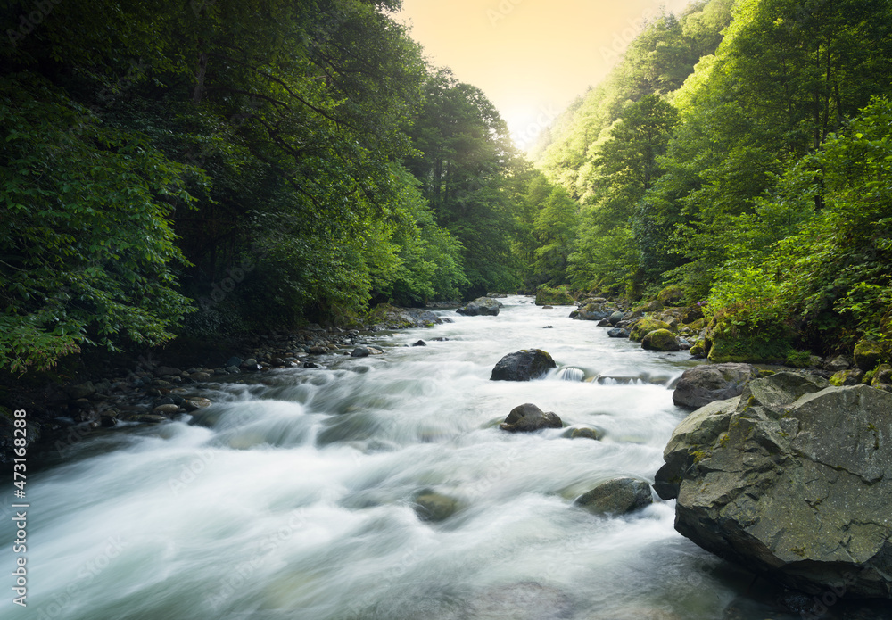 Spring background. River in woodland at sunrise. Long exposure river image. - obrazy, fototapety, plakaty 