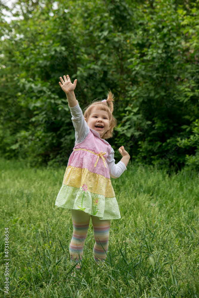 Happy smiling little girl in a meadow in the park. Facial expression, kid and emotion