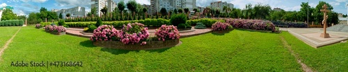 Panorama of hydrangea flowers in a landscape park.