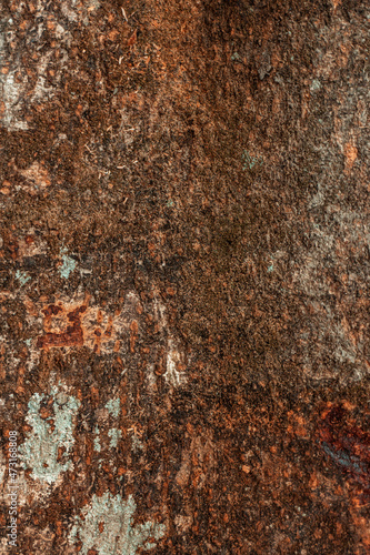 Piękne drewniane brązowe tło, tekstura drzewa.