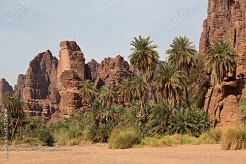 Wadi Disah. Tabuk region. Saudi Arabia.