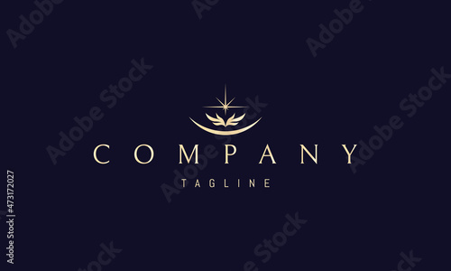 Vector golden logo with an abstract image of the moon, wings and stars in the middle.